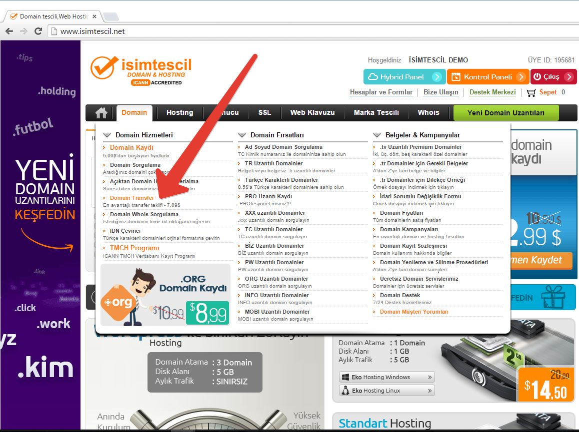 Domainimi isimtescil.NETe Nasıl Transfer Edebilirim?