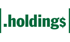 holdings domain uzantısı