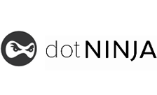 ninja domain uzantısı